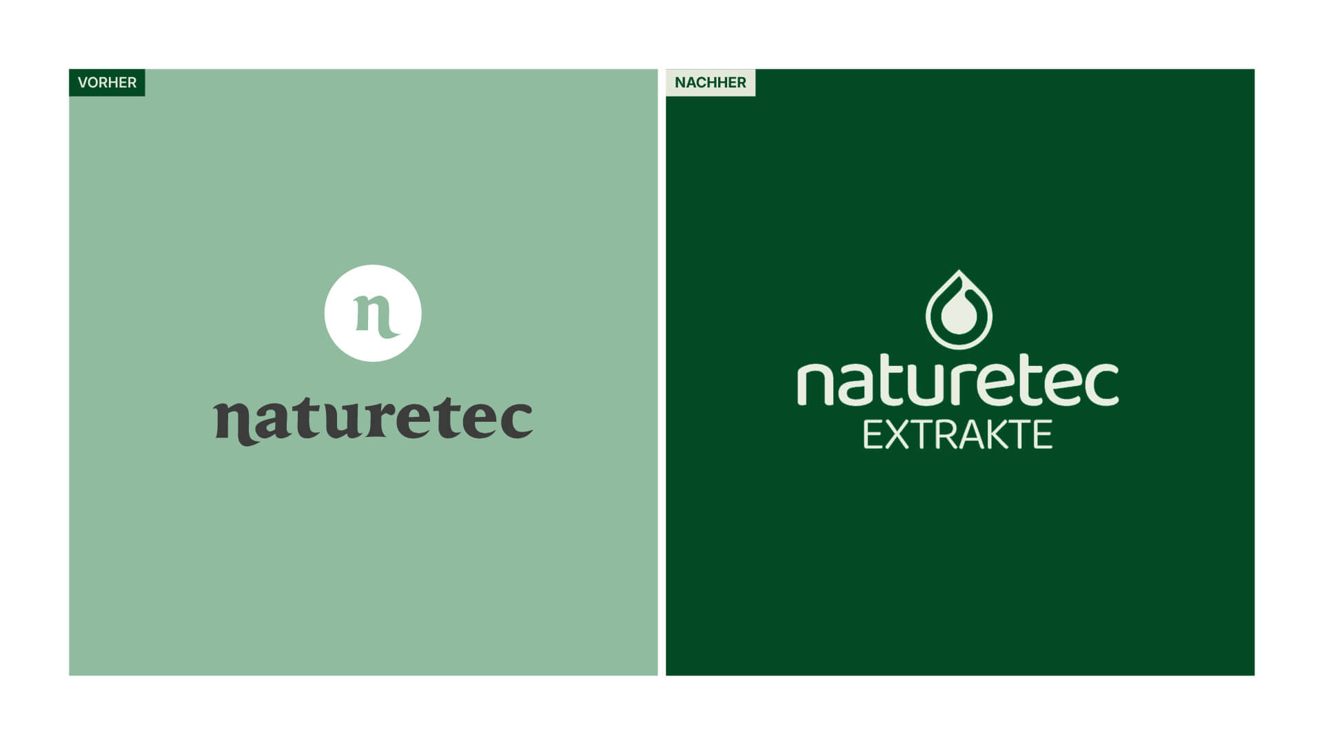 Titelbild des Corporate-Branding-Projekts für die Naturetec AG