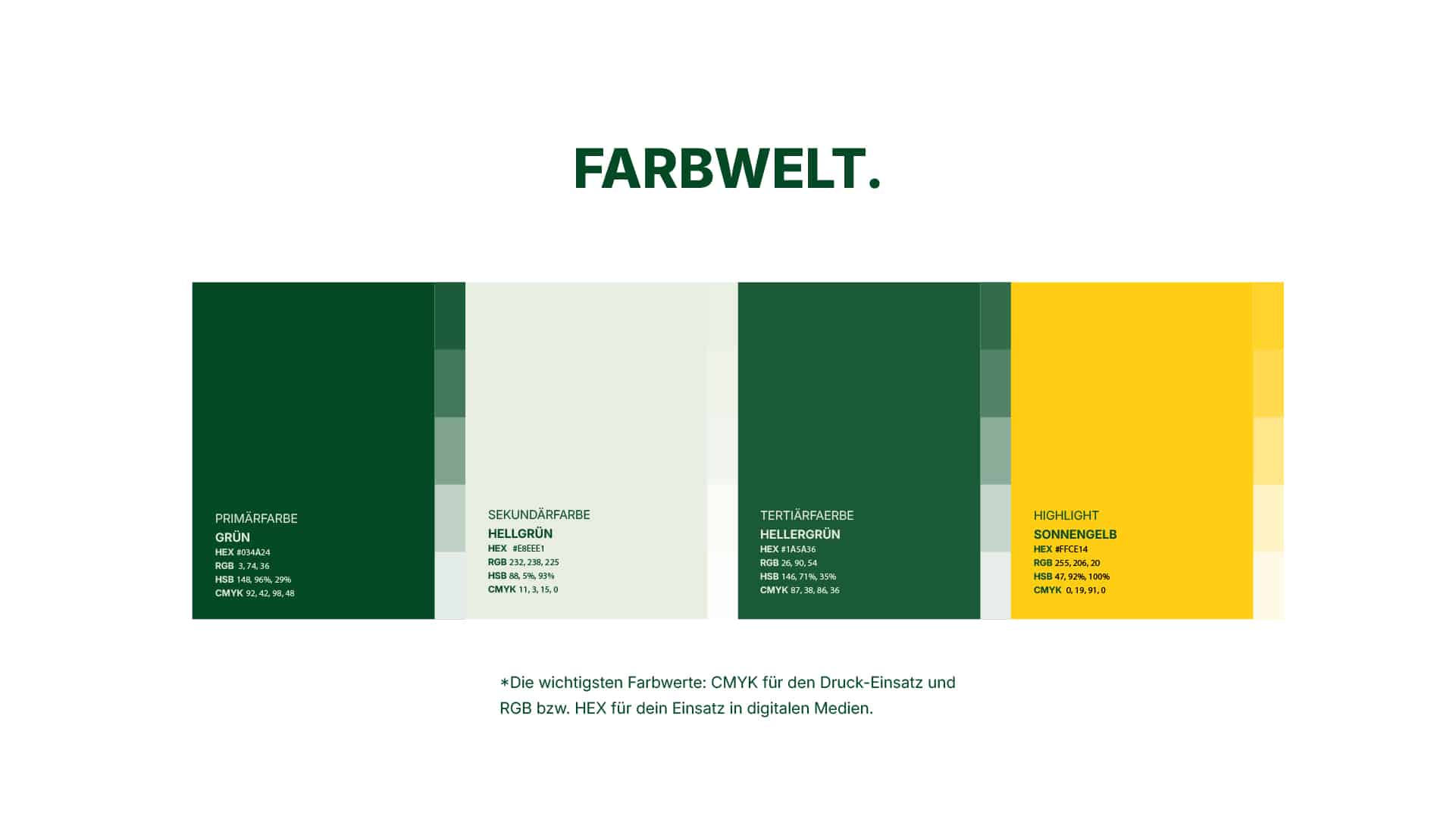 Farbpalette des Corporate Designs von Naturetec